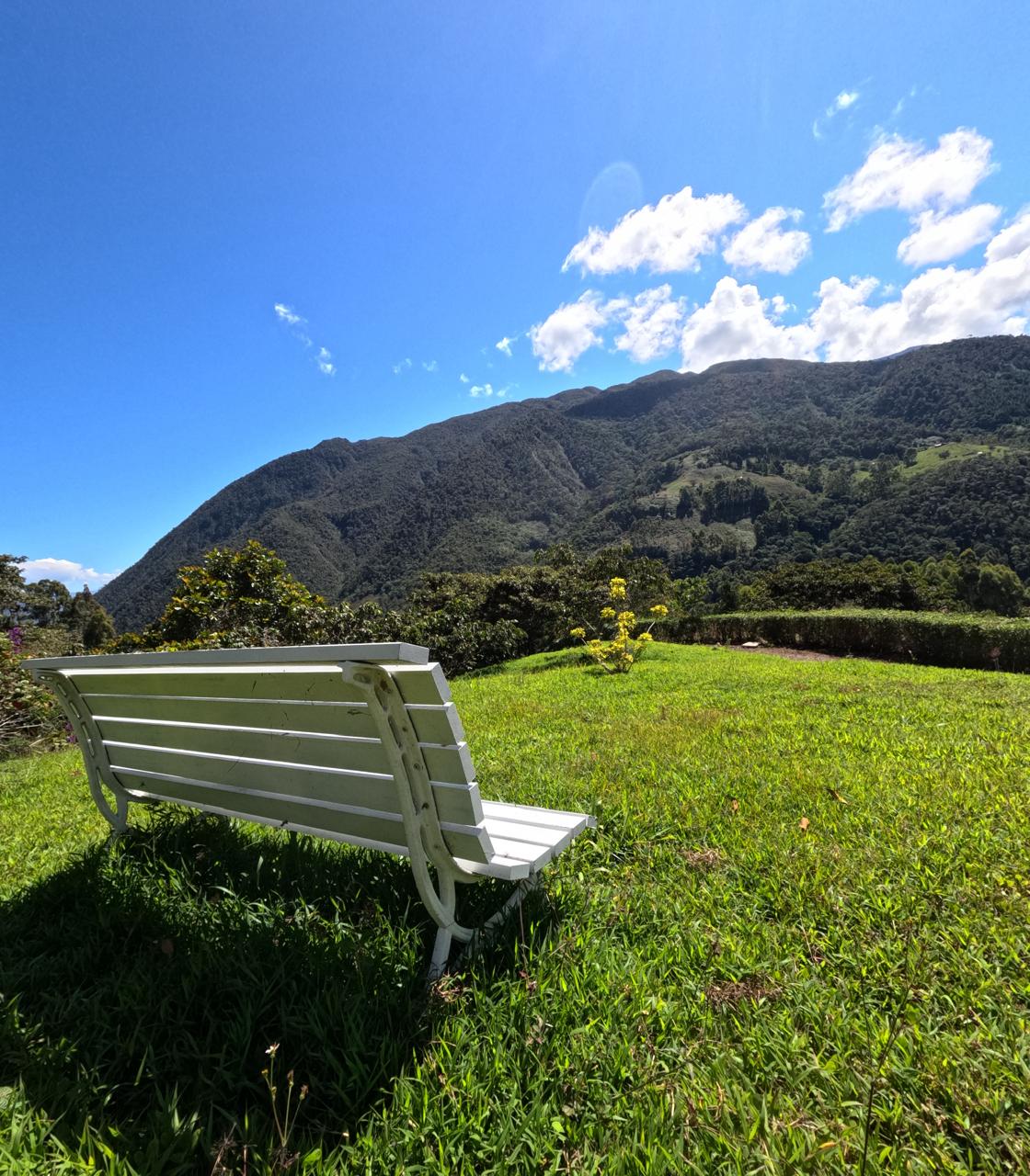 Oxachacos - banca y vista